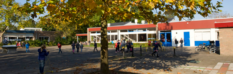 De Klimboom Amersfoort