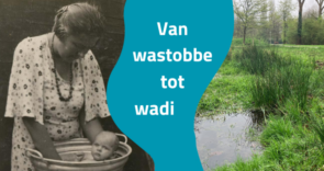 Expositie over water: Van wastobbe tot wadi